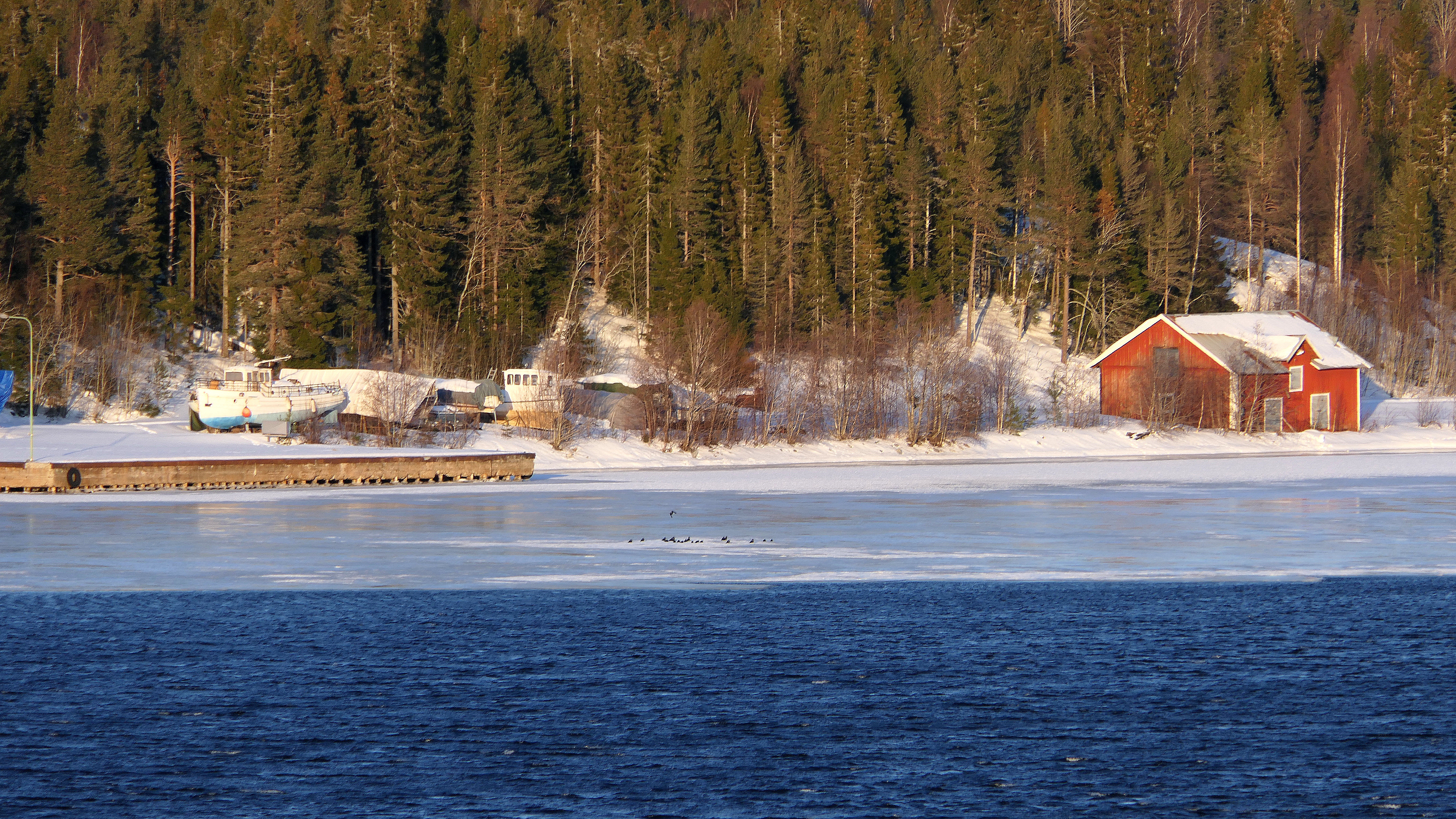 Landschaft um Husum